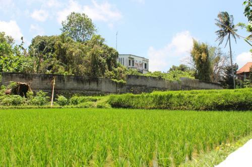 White Creative Villa Campuhan