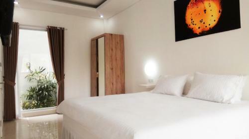 Apartamentos The Bali Bubble