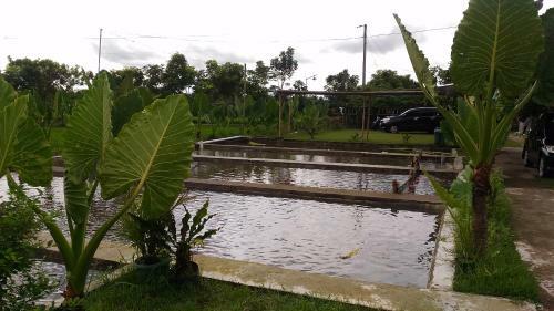 Herry Home Stay_jogja