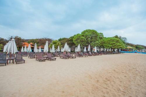 Hotel Tree House Villa