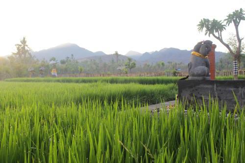 Umma Bali Menjangan Retreat
