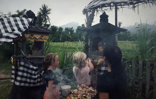 Umma Bali Menjangan Retreat