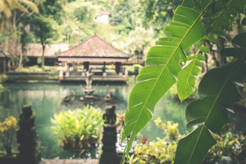 Beautiful Villa With Private Pool, Bali Villa 2029