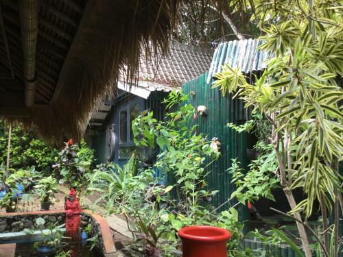 Hostal Javanaise House