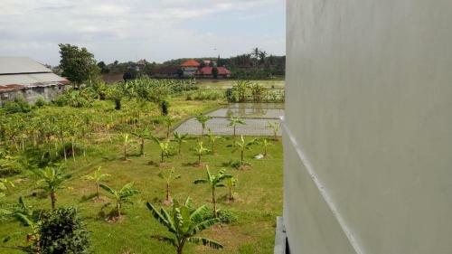 Hostal Lilis Ikvala Radha