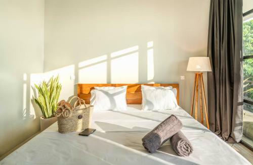 2 Bedroom Modern Villa With Private Pool In Canggu