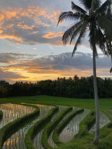 Hotel Coco Verde Bali Resort