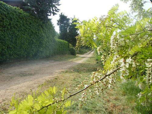 B&B Ca' Morino