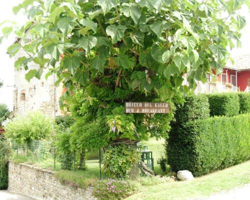 Bed & Breakfast Bricco Del Gallo