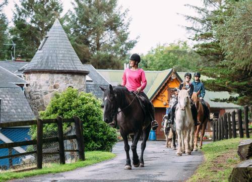 Lough Derg Holiday Lodge
