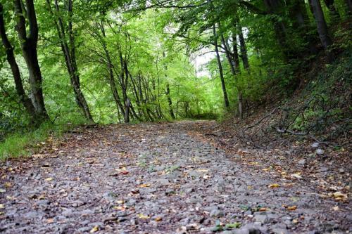 Holiday Home Oughterard - Eir02104f-f