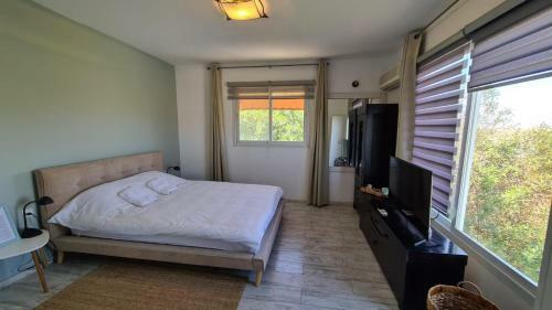Hotel Olives