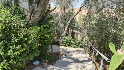 Hotel Olives
