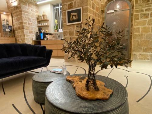 Bed & Breakfast Beit Elfarasha