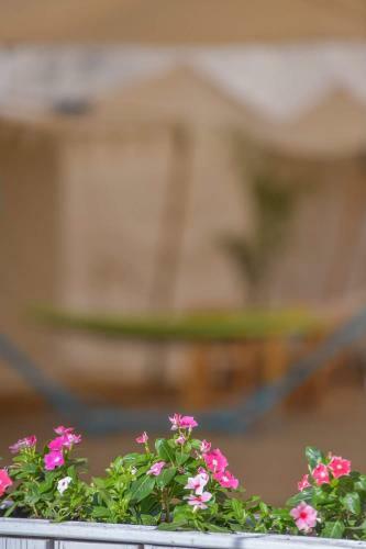 Midbarya Camping Eilat