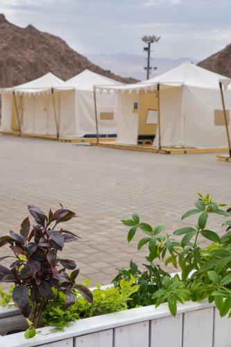 Midbarya Camping Eilat