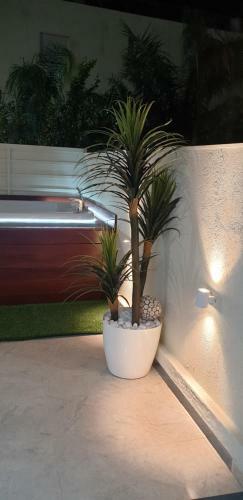 Apartamento ?????? ????? ?????