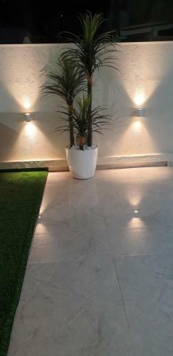 Apartamento ?????? ????? ?????