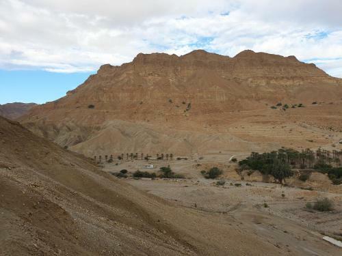 Badolina Ein Gedi Glamping
