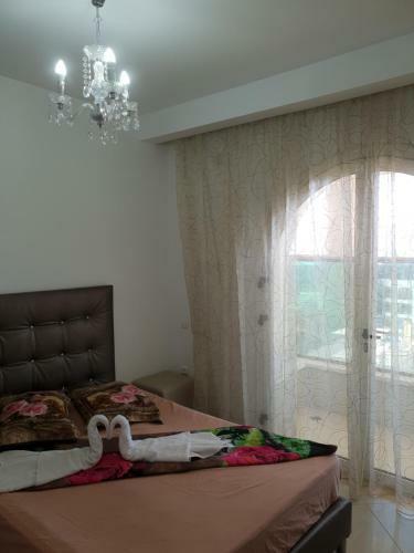 Apartment With Pool