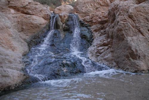 Lodge Ein Gedi Rooms Neve Zohar