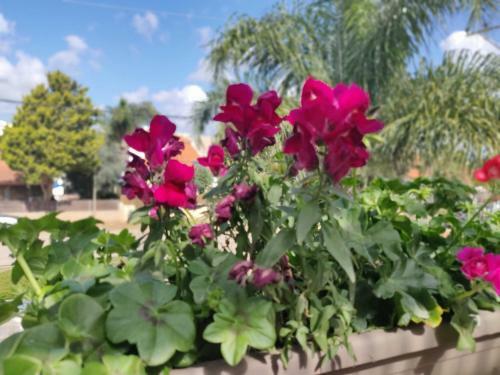Apartamento ???? ?????? ??????? ????? ??? La Baita