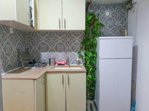 Apartamento Florentine Cozy Studios