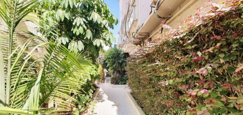 Design 2 Bdr Apartment Hilton Beach #tl55