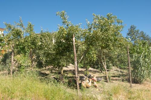 Agroturismo Artemide