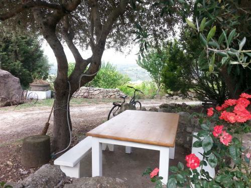 Bed And Breakfast Da Lucia