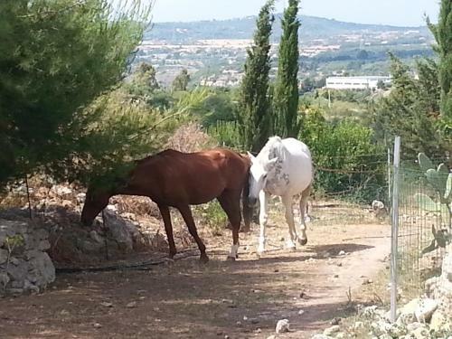 Bed And Breakfast Da Lucia
