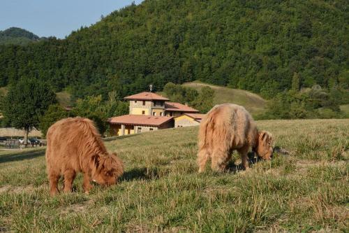 Agroturismo Agriturismo C� Bella