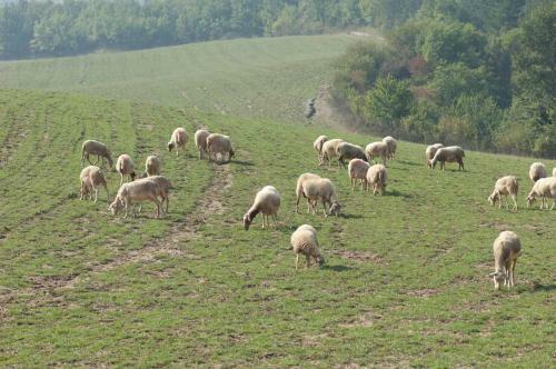Agroturismo Agriturismo C� Bella
