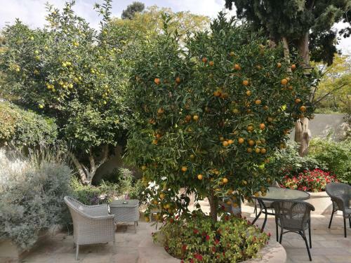 Bed & Breakfast The Templer Inn