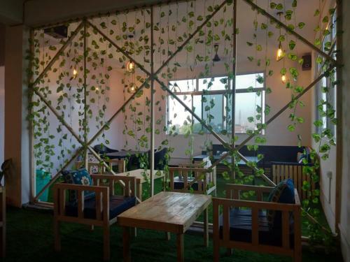 The Hangout Hostel Agra