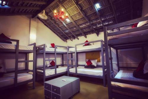 Craft Hostels