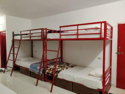 Xoxo Hostel