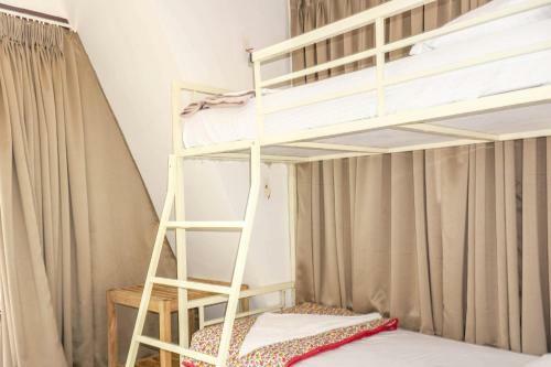 Xoxo Hostel