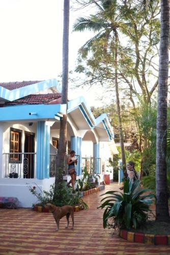 Birdsong, Anjuna (Managed By Hnh)
