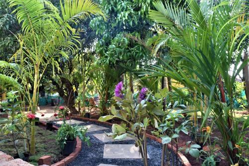 Hostal Aaria Hills