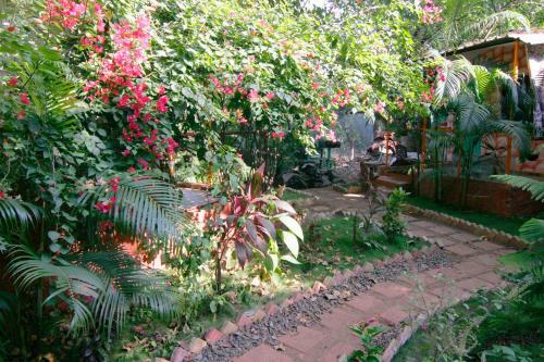 Hostal Rudra's Garden