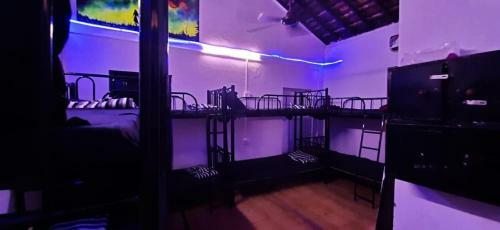 Radical Times Hostel