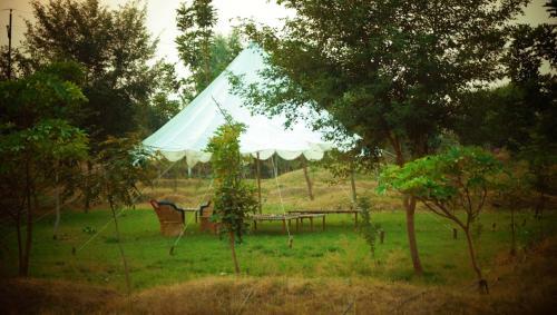 Hotel Chambal Wildlife S Lodge