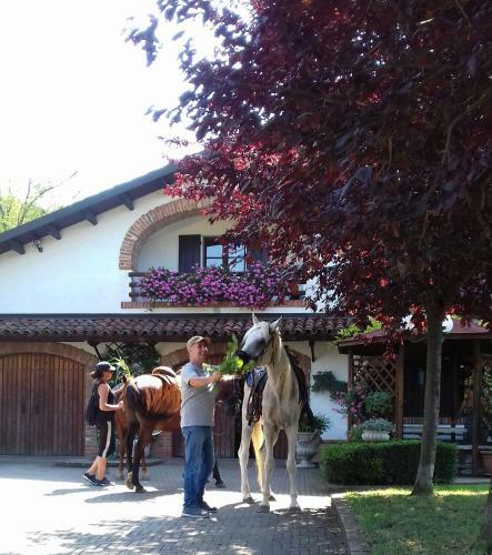 Bed And Breakfast Olimpia