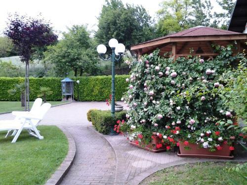 Bed And Breakfast Olimpia