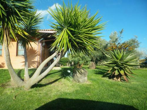 Agroturismo Cuccuruaio' B&B
