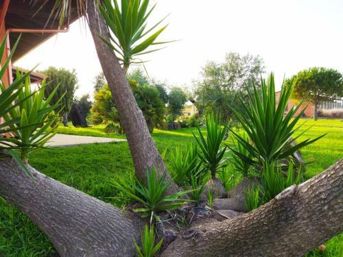 Agroturismo Cuccuruaio' B&B