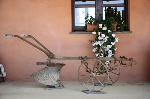 Agroturismo Cuccuruaio' B&B