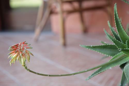 Agroturismo Cuccuruaio' B&B