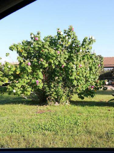 Agroturismo Cuccuruaio' B&B